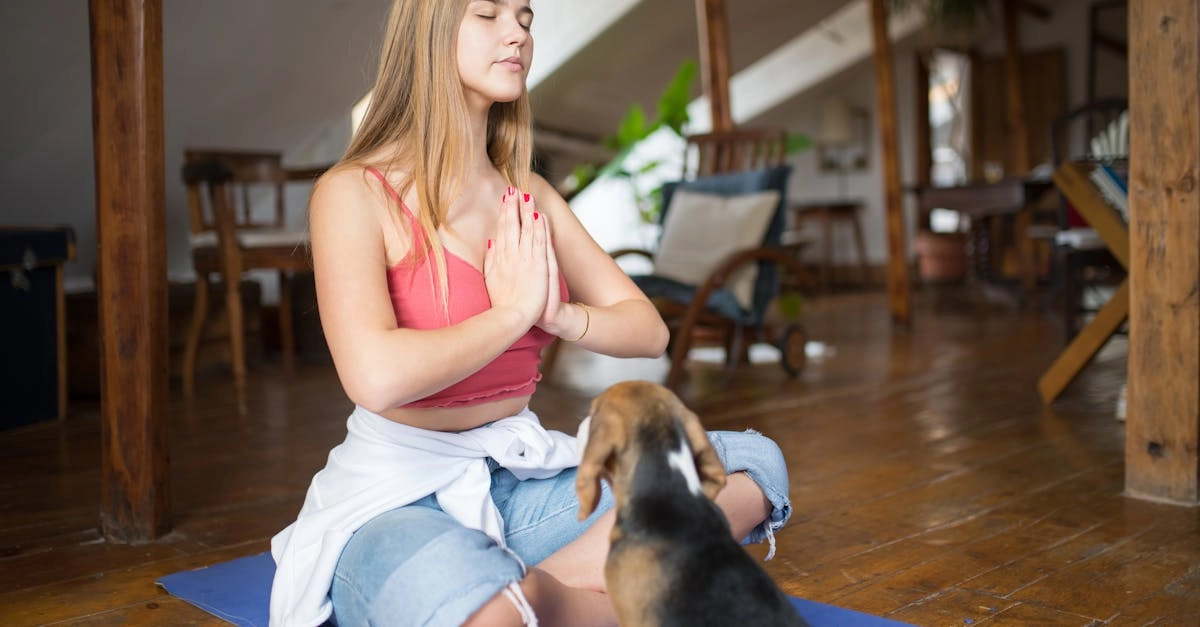 Медитативный геймплей The Dog House для спокойствия и внутреннего покоя