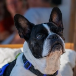 Программы лояльности казино с бонусами без депозита