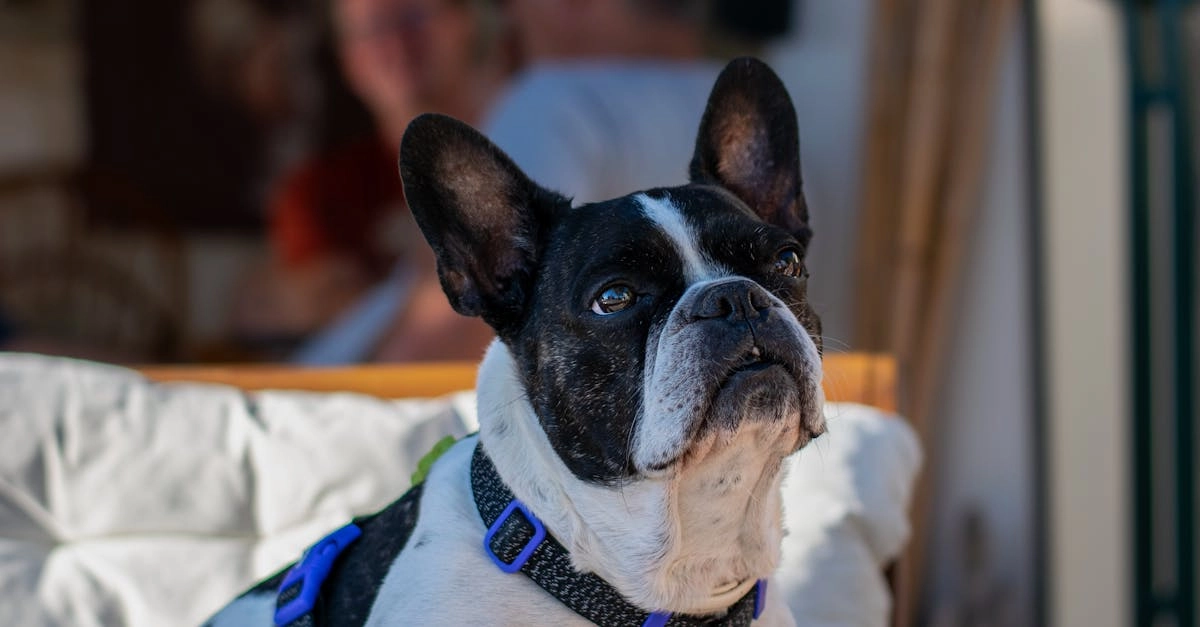 Программы лояльности казино с бонусами без депозита